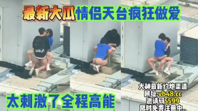 【完整版55分钟已上传下面简阶】